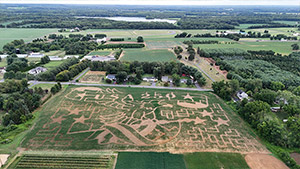 Corn Maze